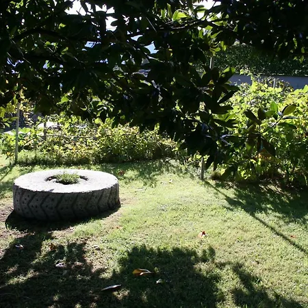 Badalone * 도마소