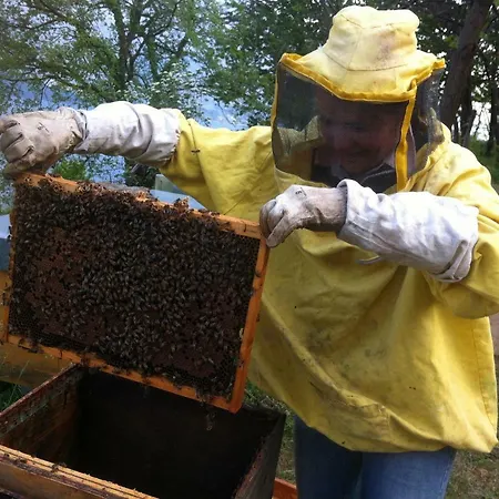 公寓 Badalone 多马索