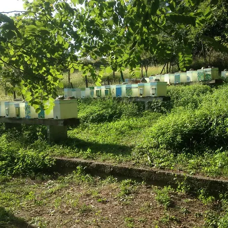 Badalone 아파트 도마소