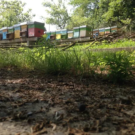 Badalone 아파트 도마소