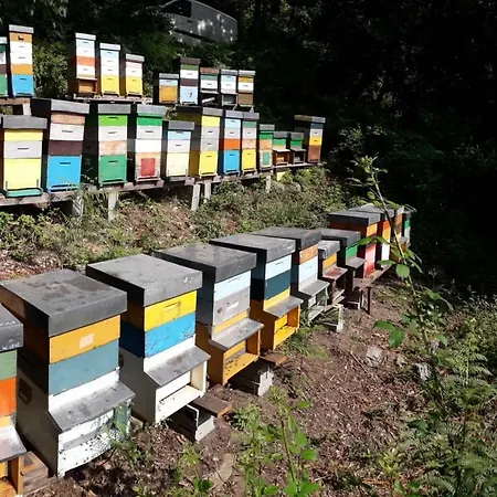 Badalone 아파트 *