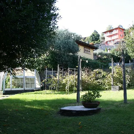 Badalone * 多马索