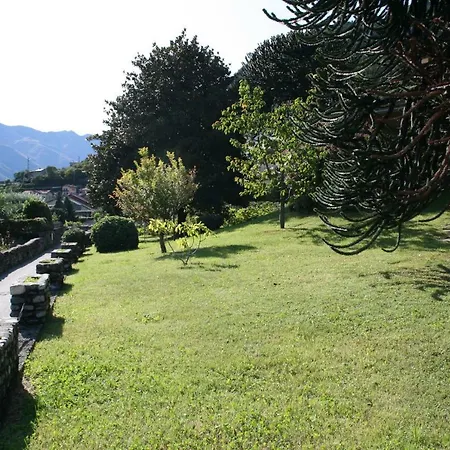 Badalone * 多马索