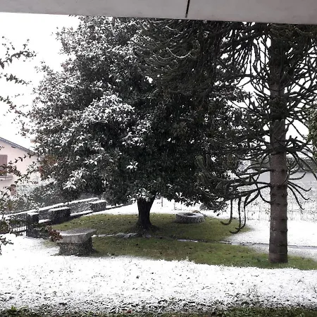 Badalone * 도마소