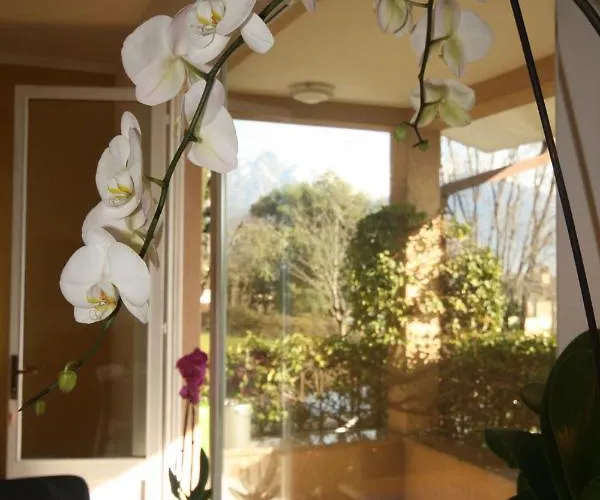 Badalone * Домазо