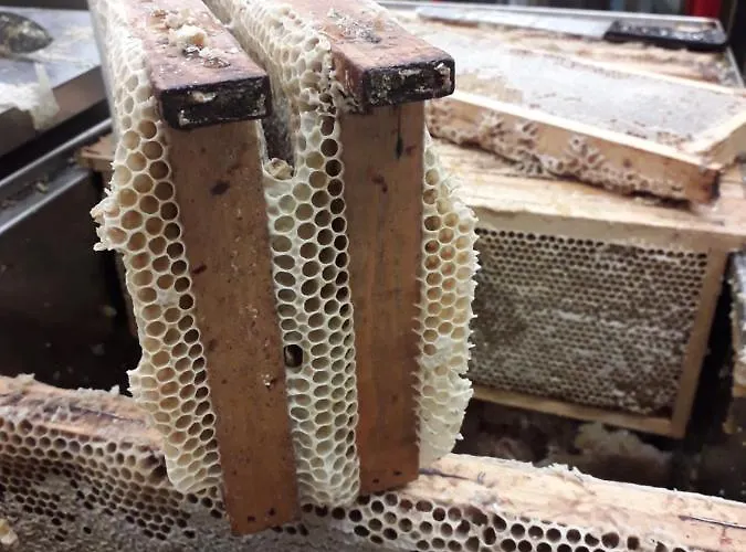 Апартаменты Badalone *