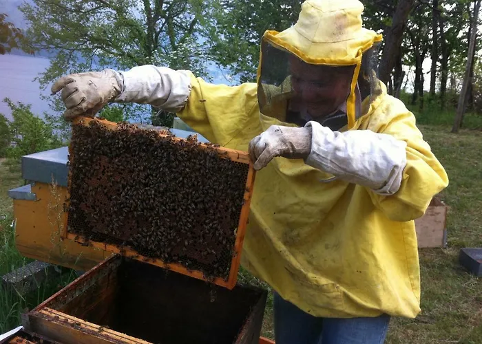 Апартаменты Badalone Домазо