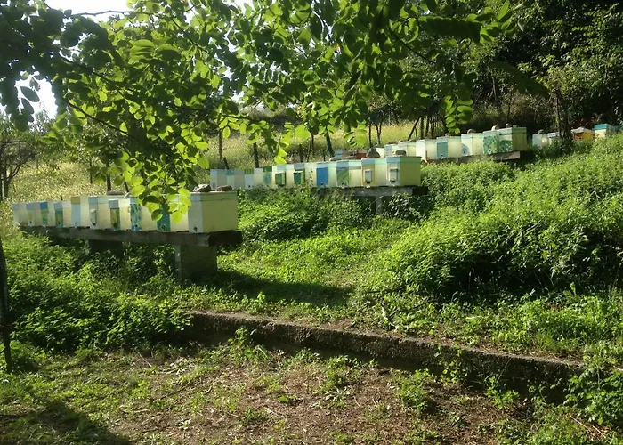 Badalone Апартаменты Домазо