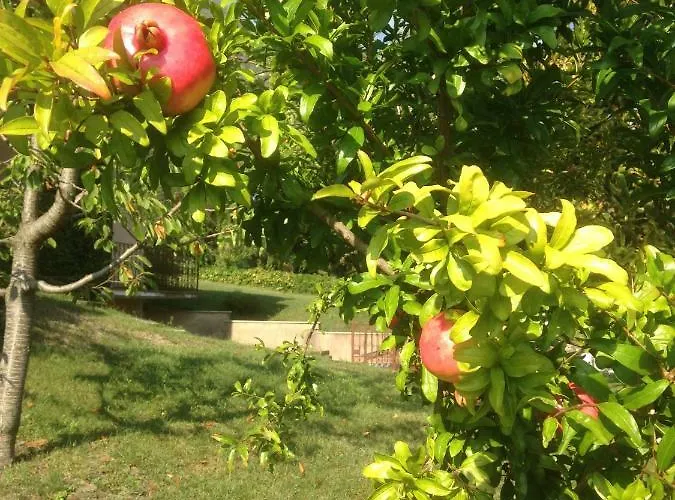 Апартаменты Badalone