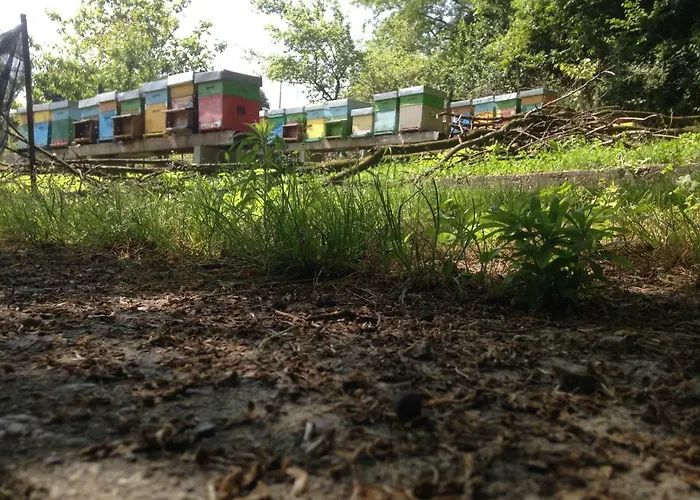 Badalone Апартаменты Домазо