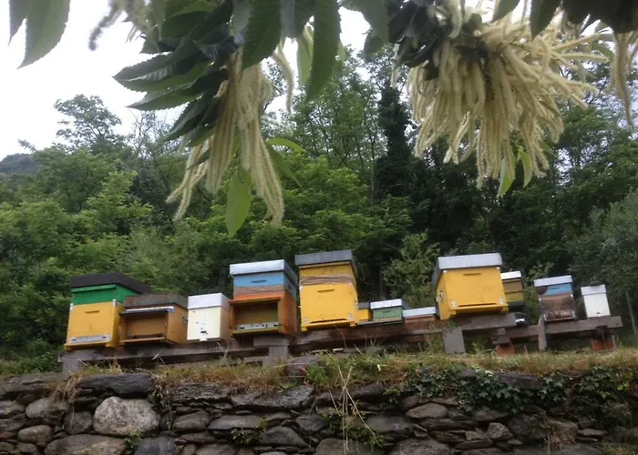 Badalone Апартаменты *