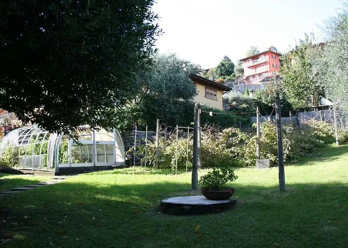 Badalone * Домазо