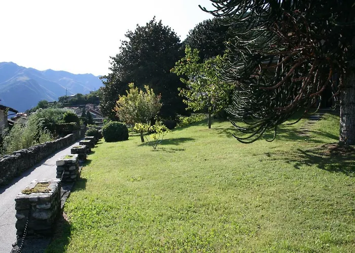 Badalone * דומאסו