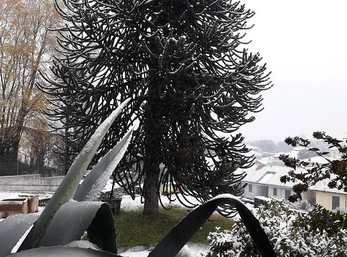 Badalone Апартаменты