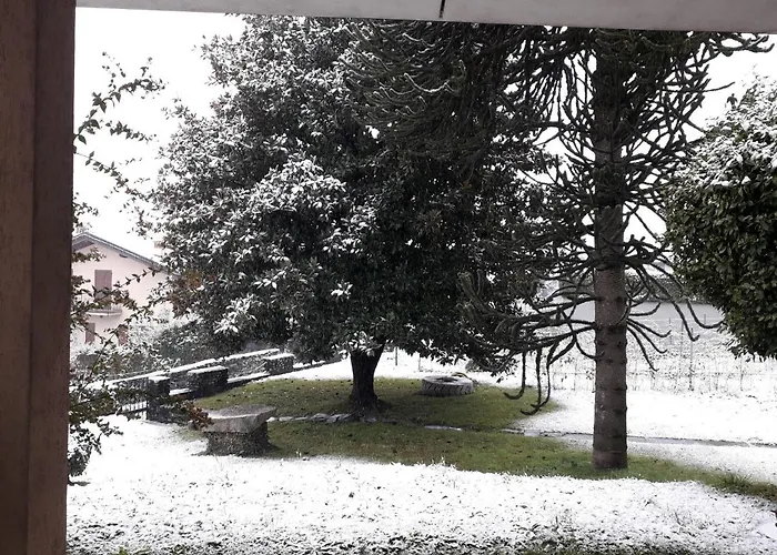 Badalone * Домазо