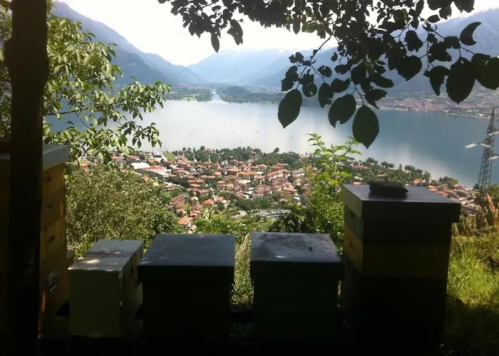 Badalone Appartement Domaso