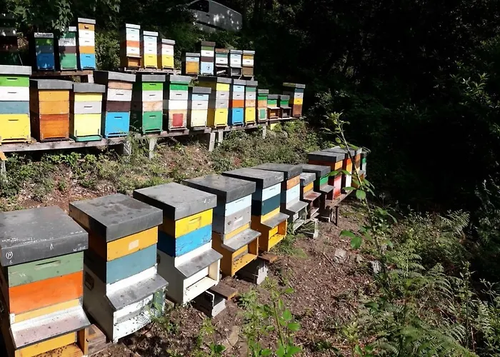 Badalone Appartement *