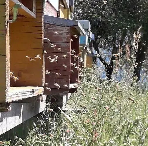 Appartement Badalone