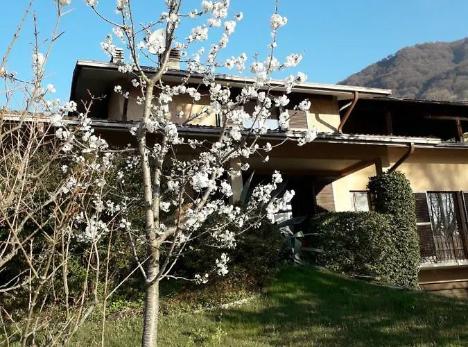 Badalone Apartamento