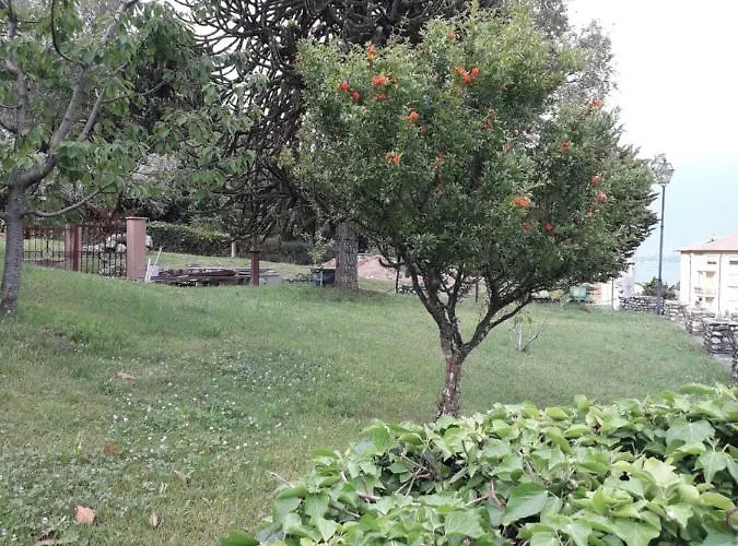 Badalone Apartamento *